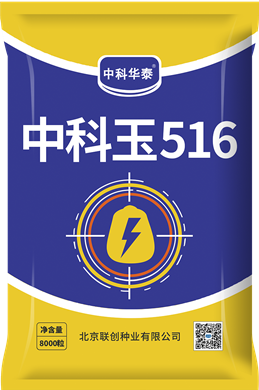 中科玉516